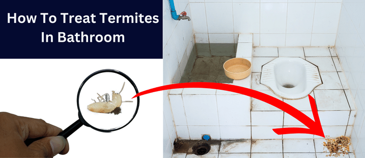 How To Treat Termites In Bathroom: 5 Easy Methods Described