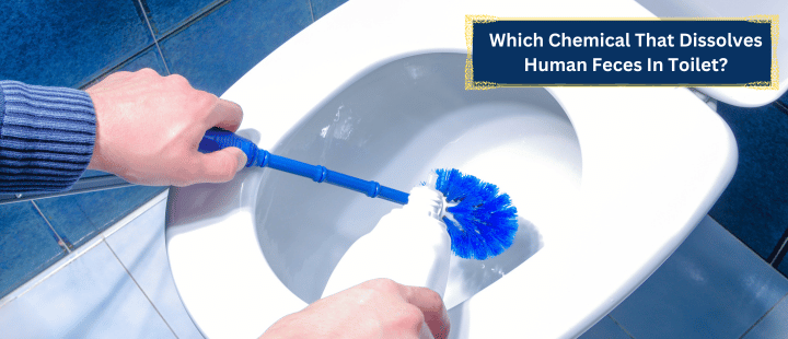 Which Chemical That Dissolves Human Feces In Toilet