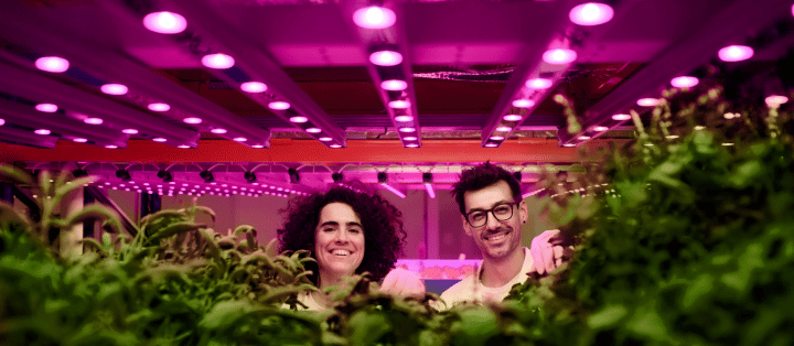 Cultivating Tranquillity A Gardeners Journey with the Magic of LED Grow Lights