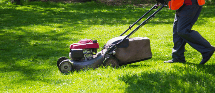 What Do Lawn Care Services Do Essential Upkeep Secrets