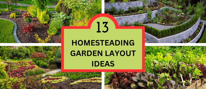 Homesteading Garden Layout Ideas