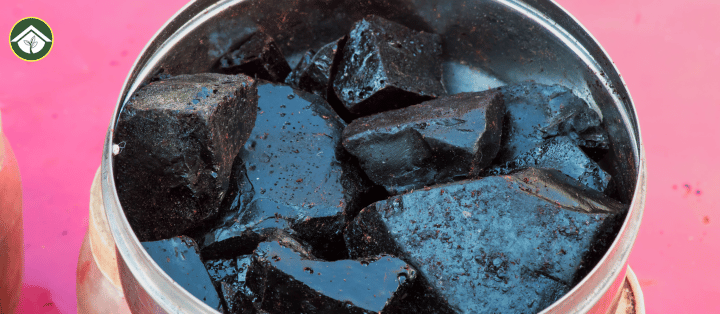 General Safety Considerations for Shilajit Consumers