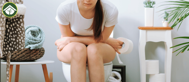 Can You Get an STD from a Toilet Seat? The Truth About Gonorrhea, Syphilis, and Other STDs vs. Toilet Seat Myths