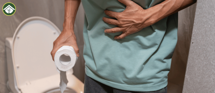 Can You Really Catch Infections from a Toilet Seat What Diseases, Germs, and Bacteria Actually Live There