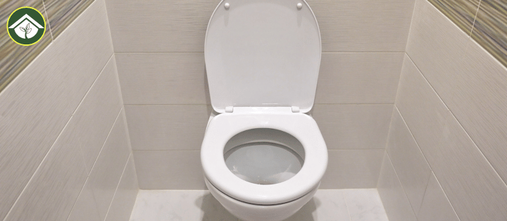 Disposable Toilet Seat Covers The Complete Guide to Toilet Seat Liners, Flushable Options, and Travel Hygiene Essentials