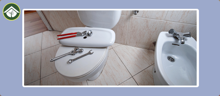 How to Tighten a Toilet Seat and Stop It Wobbling A Complete Guide to Securing Loose Bolts and Screws