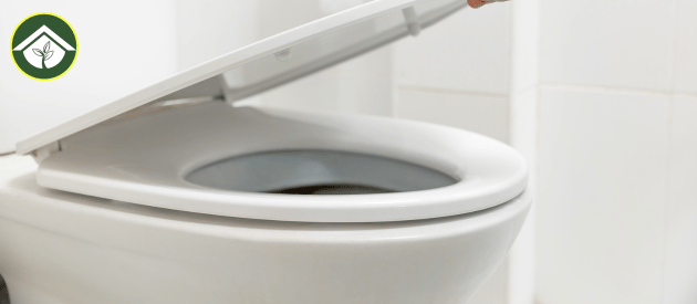 A Brief Overview On Toilet Lid | Size, Shapes and Color | Remove, Replace or Fix Guide | Different Toilet Lid Covers