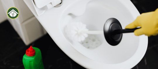 Disposable Toilet Brush: Ultimate Hygiene and Easy Cleanup Guide