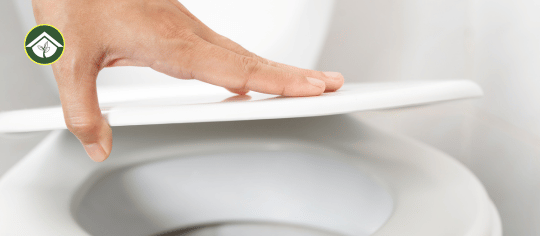 Toilet Lid Screws: Ultimate Guide to Fixing & Replacing Easily
