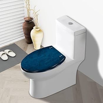 Blue Toilet Seat: Stylish Comfort for Modern Bathrooms