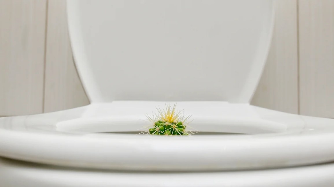 Can You Catch Syphilis from Toilet Seat? Myth vs. Reality Explained