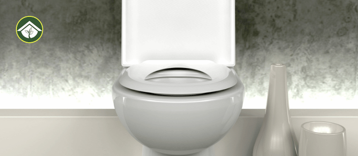 Urine on Toilet Seat Simple Tips to Keep It Spotless