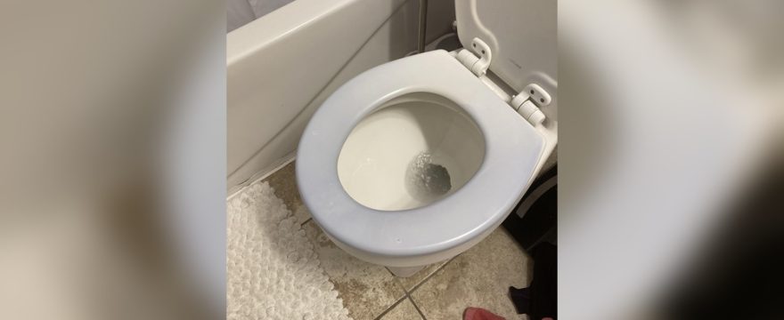 Blue Toilet Seat