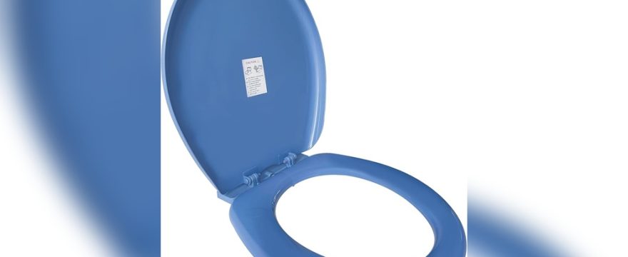 Blue Toilet Seat Cover