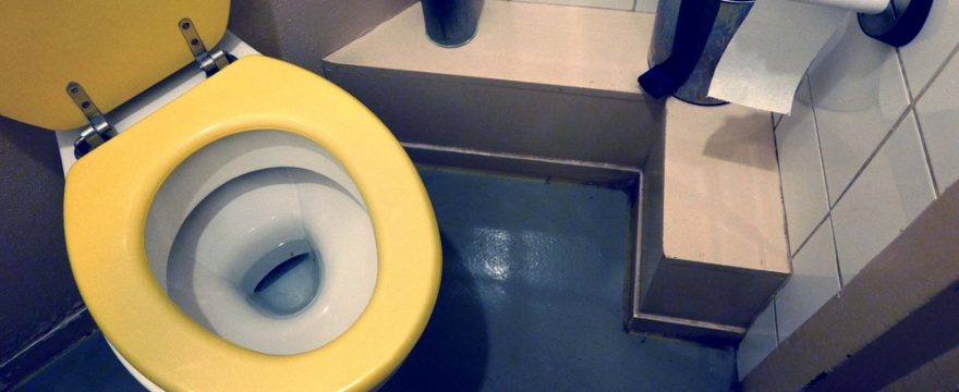 Can You Get Scabies from a Toilet Seat