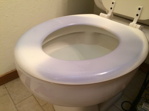 Why is My Toilet Seat Turning Blue: Shocking Causes Explained