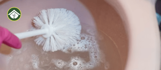 how to remove urine stains from toilet seat