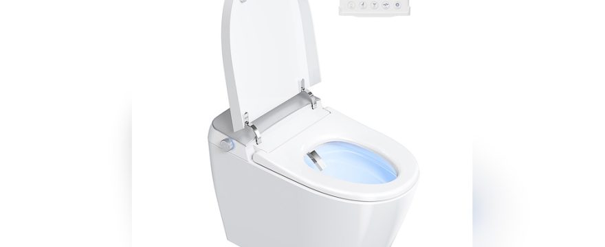 Intelligent Bidet Toilet Seat