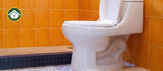 toilet seats fitting types