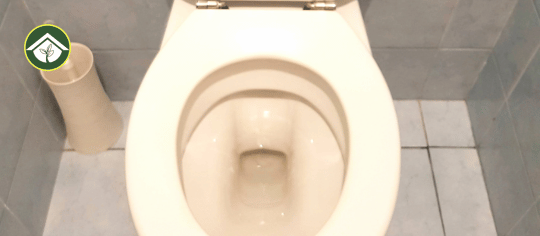 urinal toilet seat