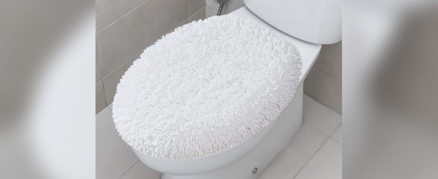 White Toilet Seat Cover