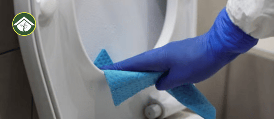 why is my toilet seat turning blue