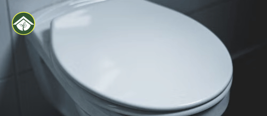 wide toilet seat